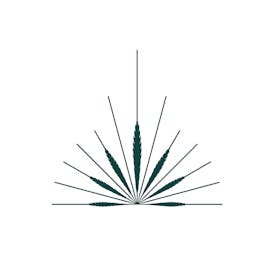 Georgetown Wellness Dispensary - COMING SOON