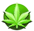 Yeti Greenery