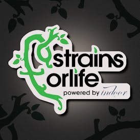 Strains for Life, Powered by Indoor