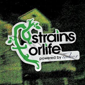 Strains for Life, Powered by Indoor