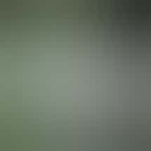 Strains for Life, Powered by Indoor