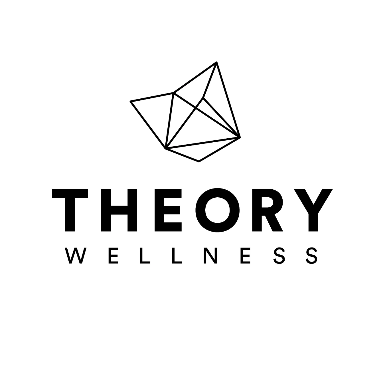 Theory Wellness - Augusta
