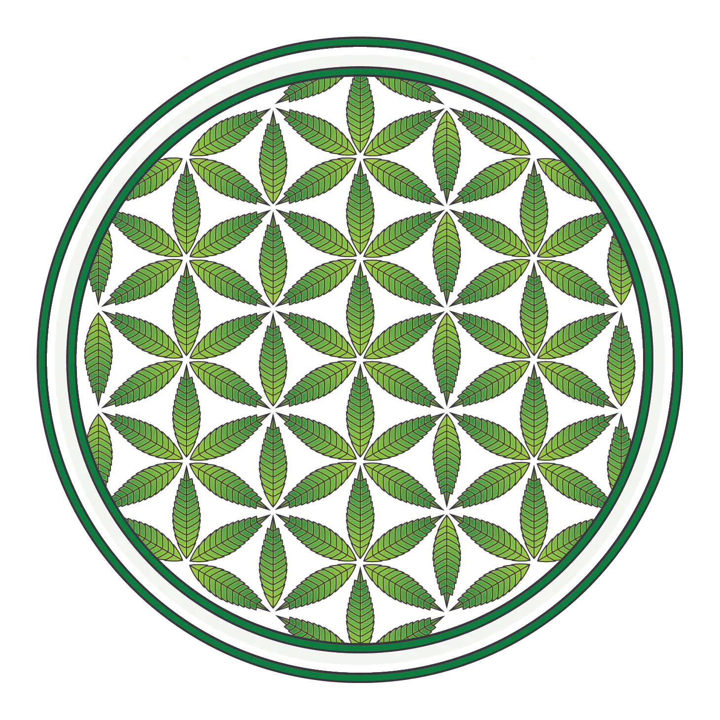 Life Flower Dispensary