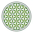 Life Flower Dispensary