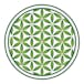 Life Flower Dispensary