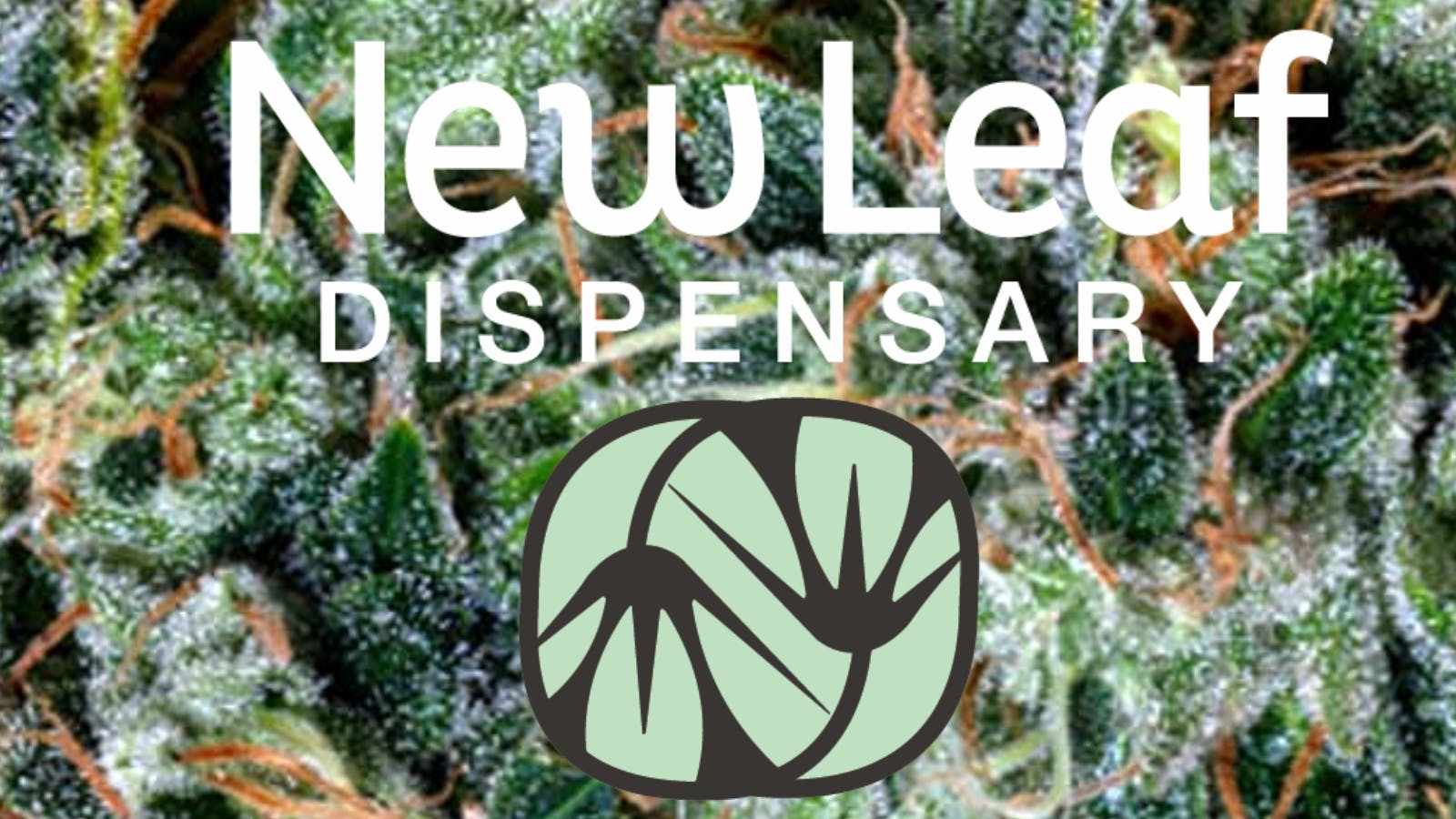 New Leaf Dispensary & Onsite Consumption Space listing banner