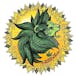 Green Lion - McLoughlin