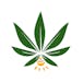 Firefly Cannabis Lucedale