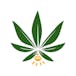 Firefly Cannabis Lucedale