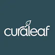 Curaleaf - St. Augustine