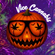 Vice Stillwater Dispensary South