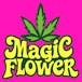 Magic Flower