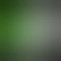 Weedmart - Hamtramck - Detroit