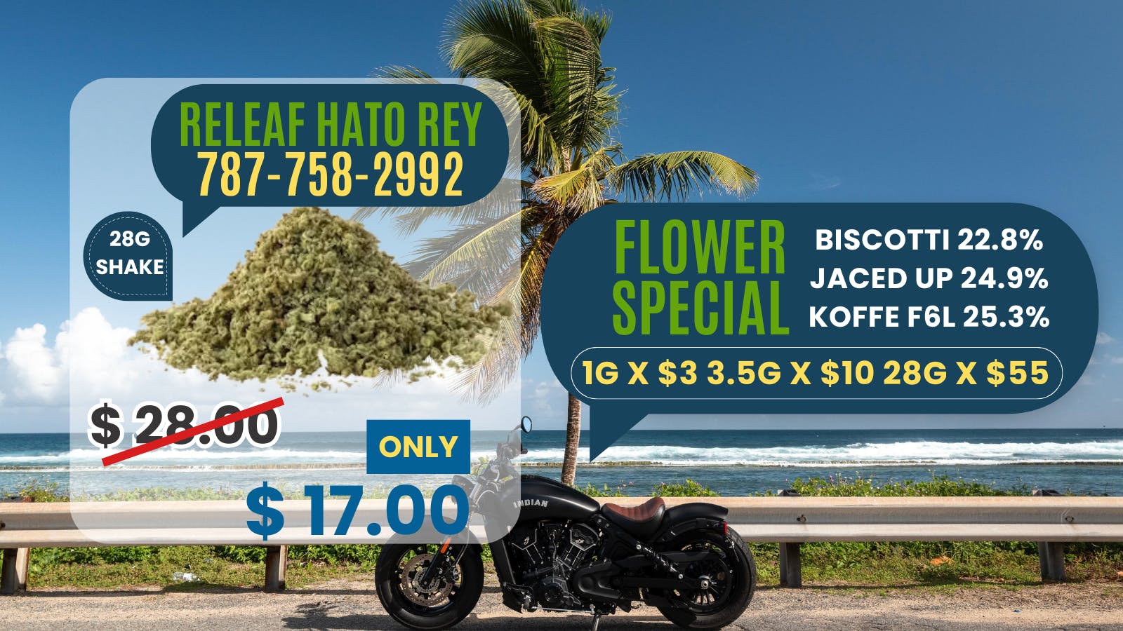 Releaf Solutions - Hato Rey listing banner
