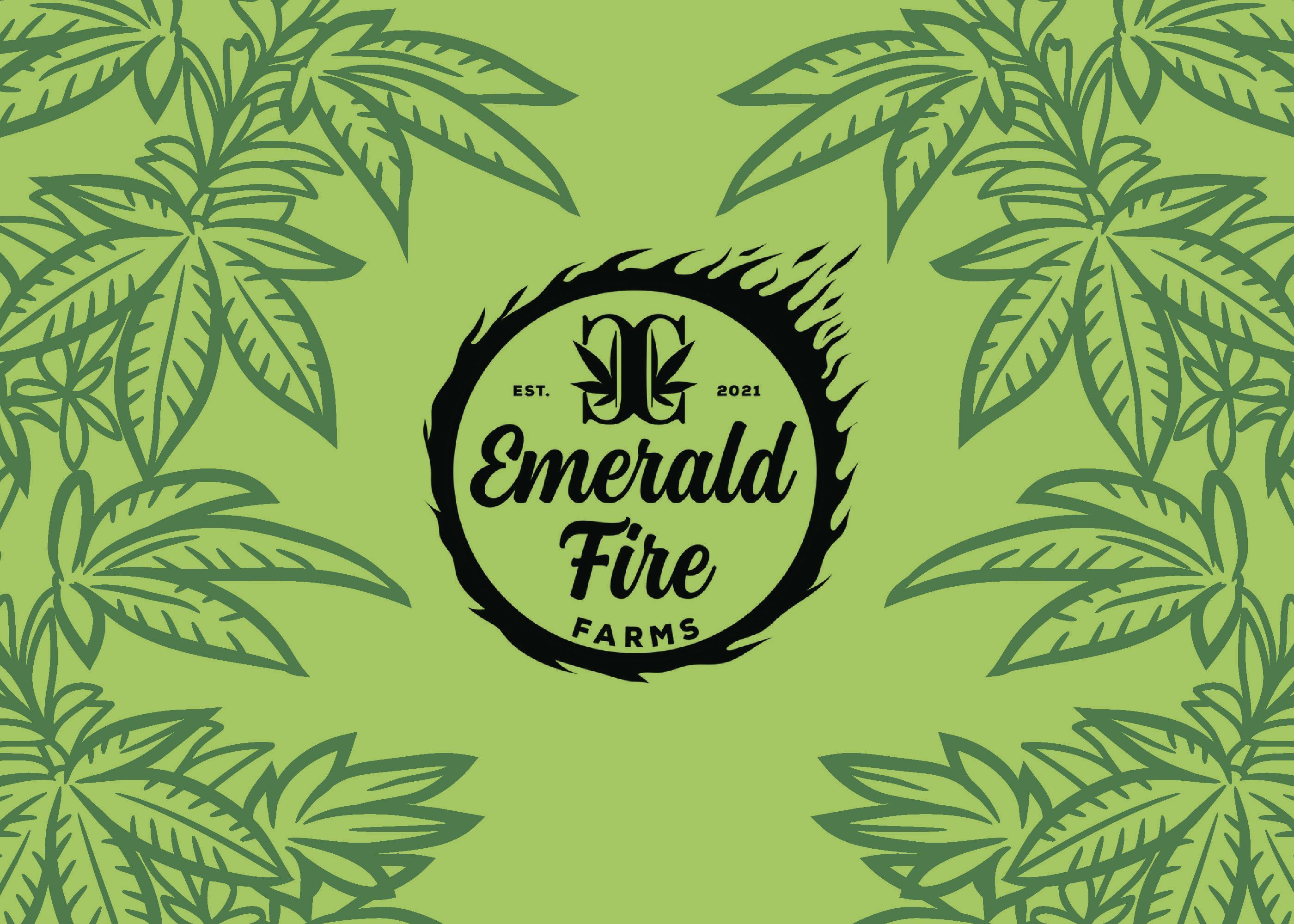 Emerald Fire Provisioning Center- West Branch listing banner