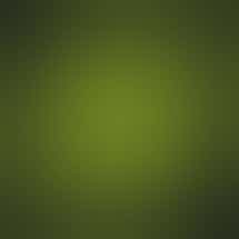 Kindling Cannabis - Burlington