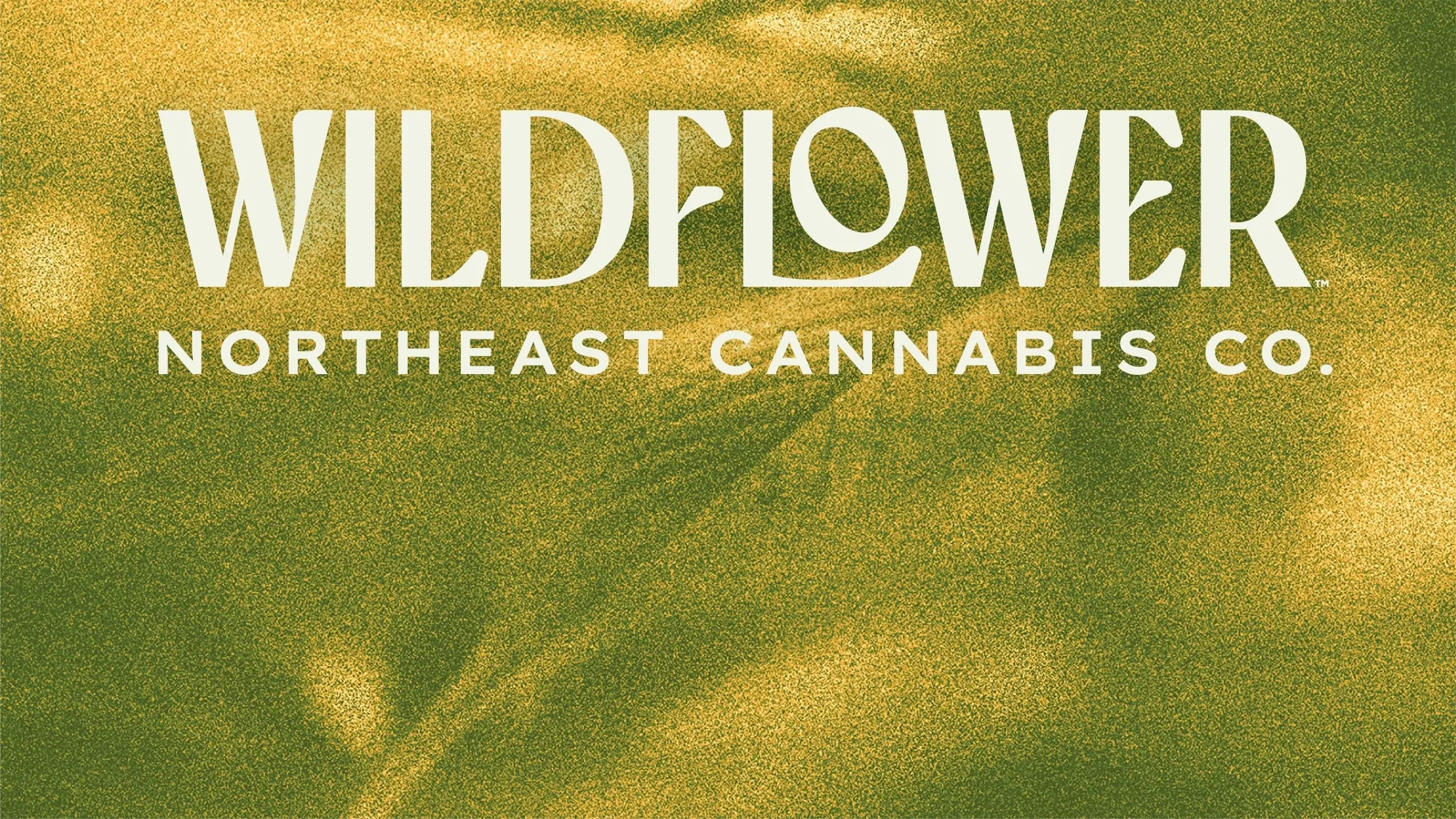 Wildflower listing banner