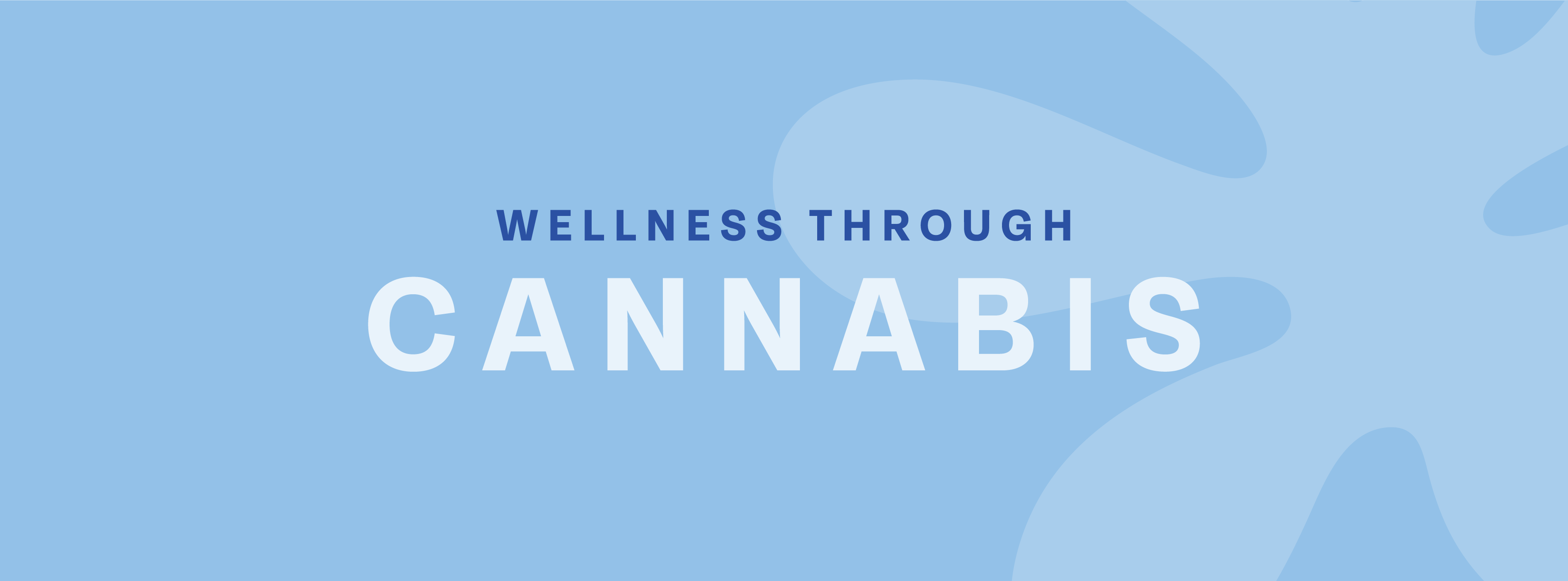 Euphoria Wellness listing banner