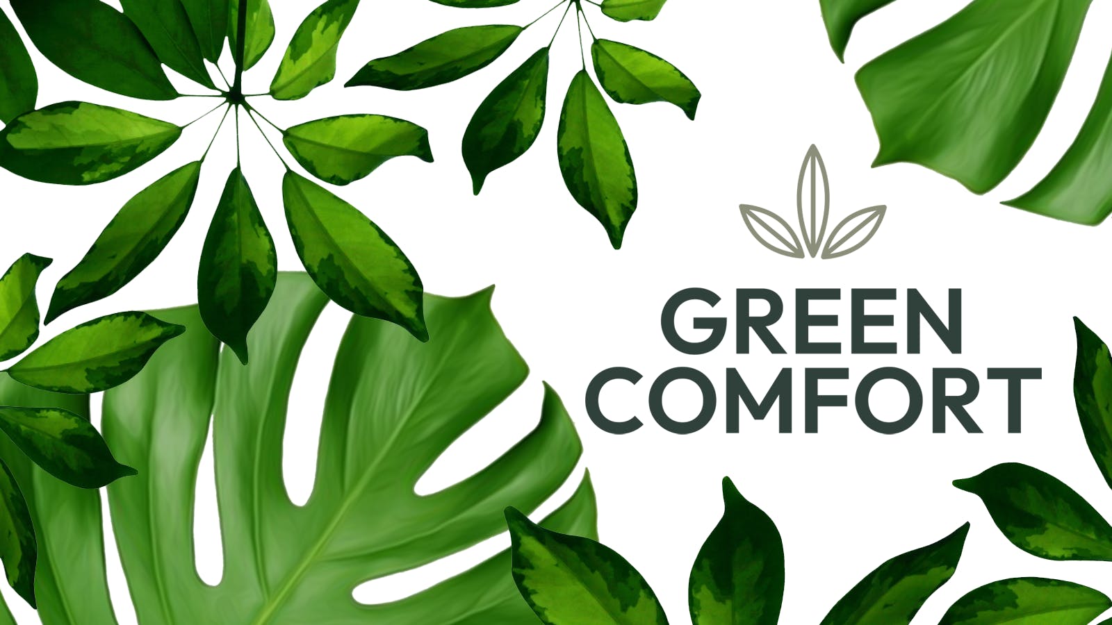 Green Comfort listing banner