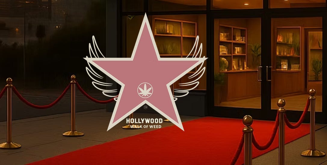 Hollywood Walk of Weed listing banner