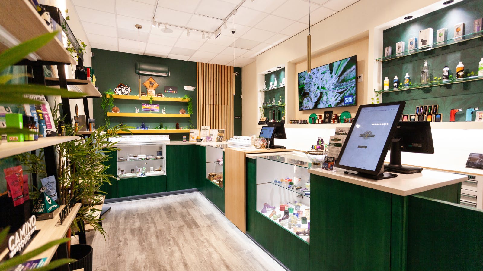 Sussex Pharms listing banner