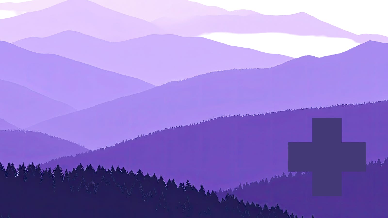 Purple Co - Forest Ave listing banner