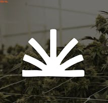 The Lakehouse Dispensary