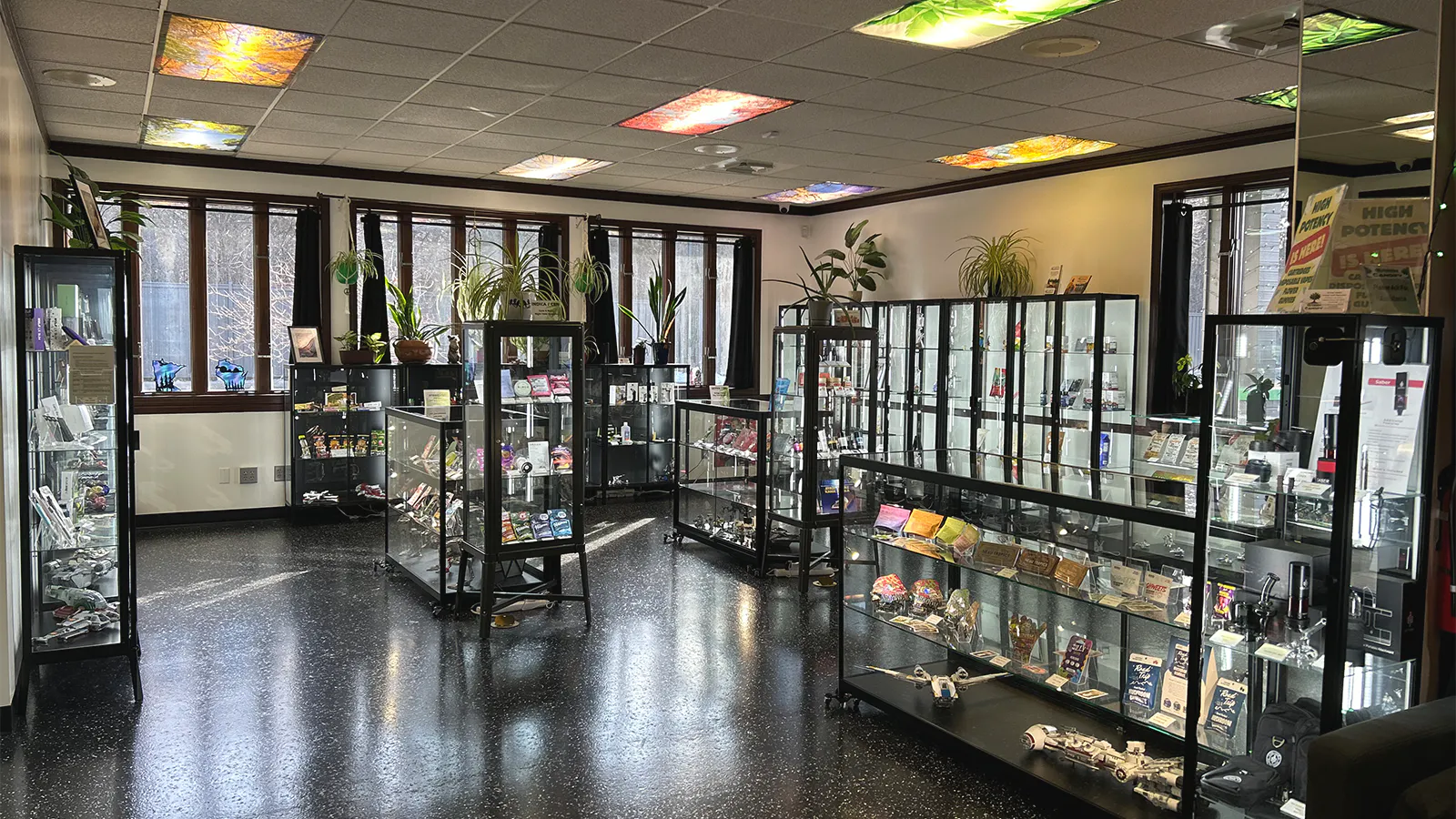 Green Canopy Craft Dispensary listing banner