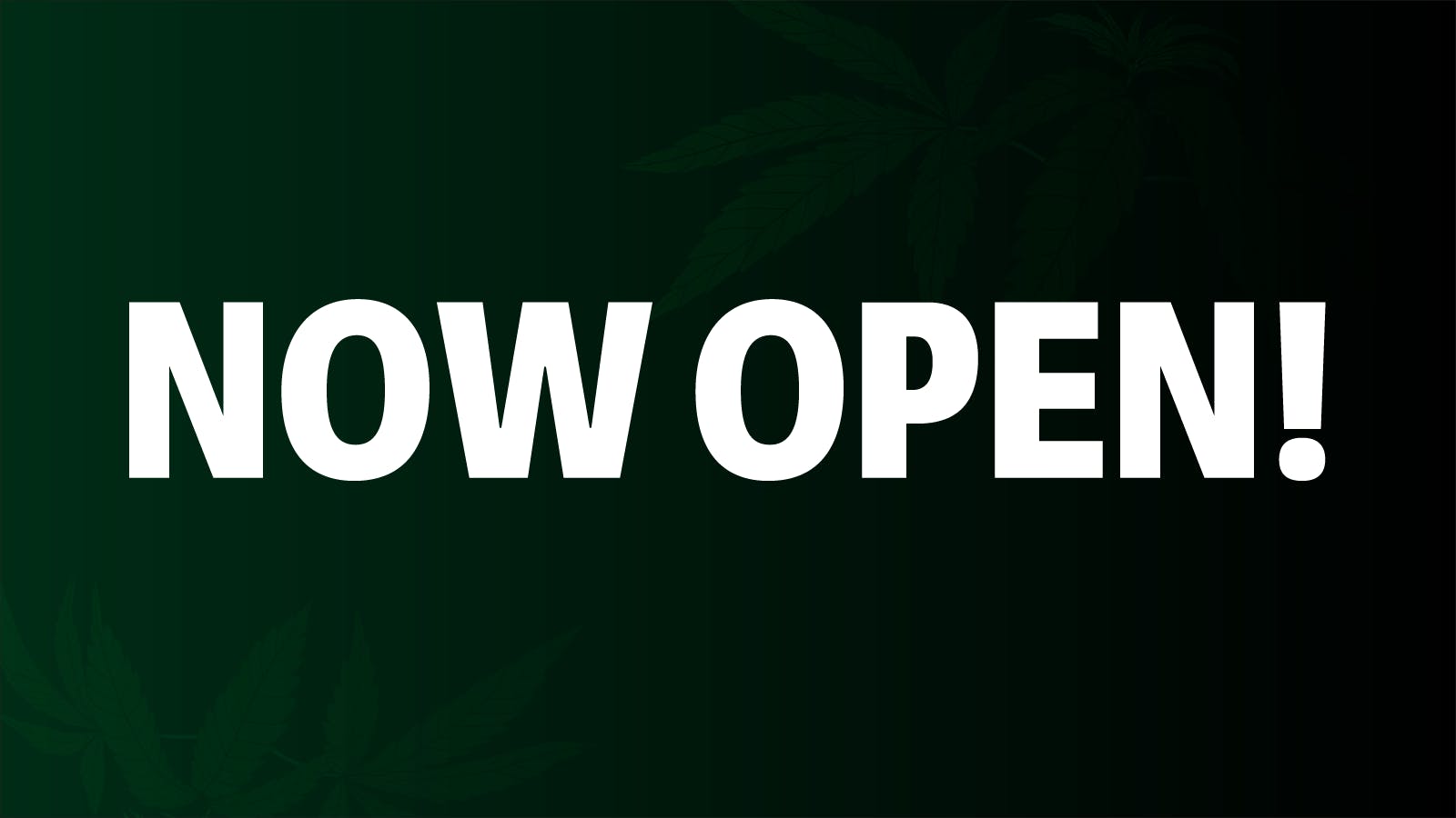 The Chronic Boutique - Trinidad listing banner