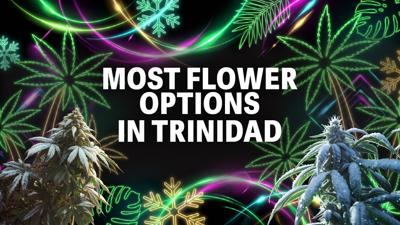 The Chronic Boutique - Trinidad listing banner