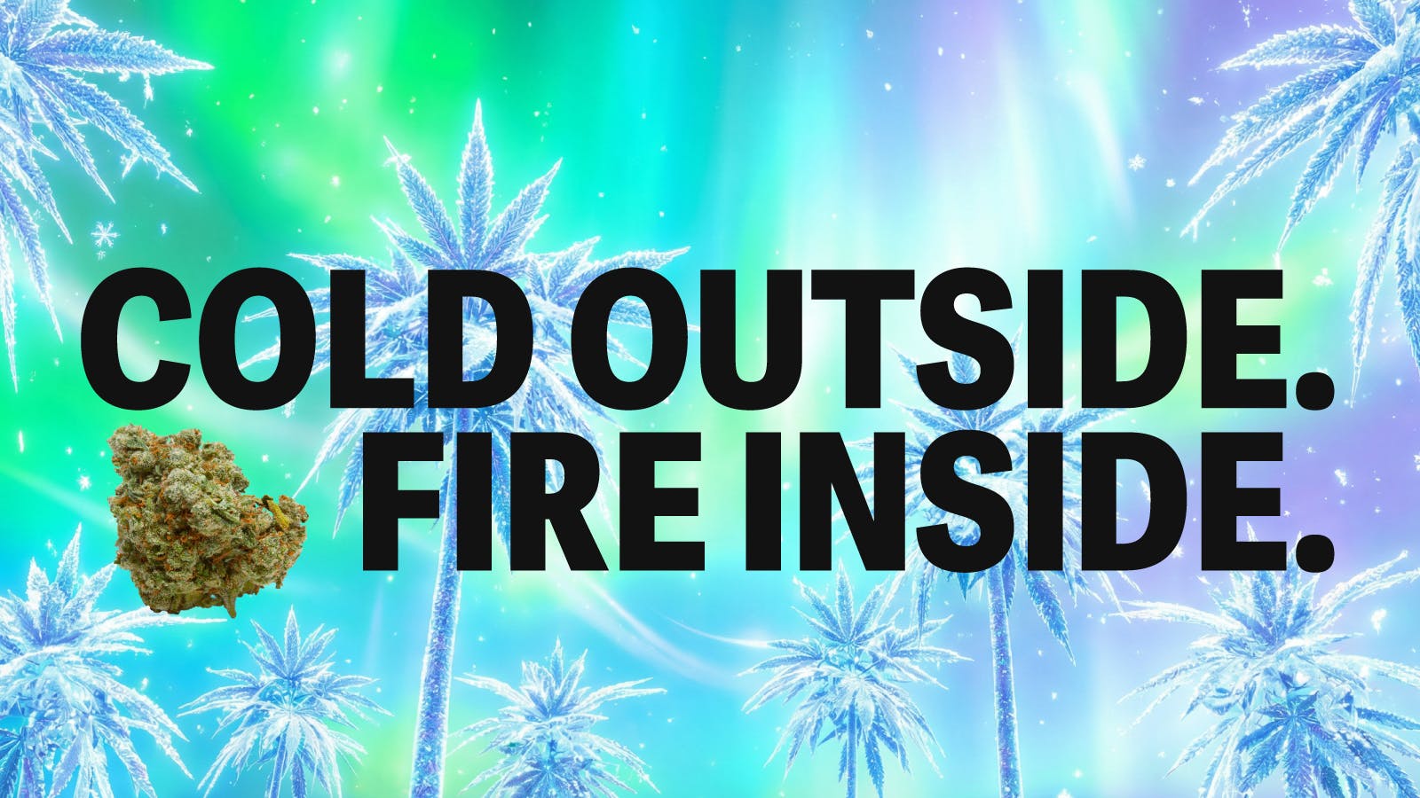 The Chronic Boutique - Trinidad listing banner