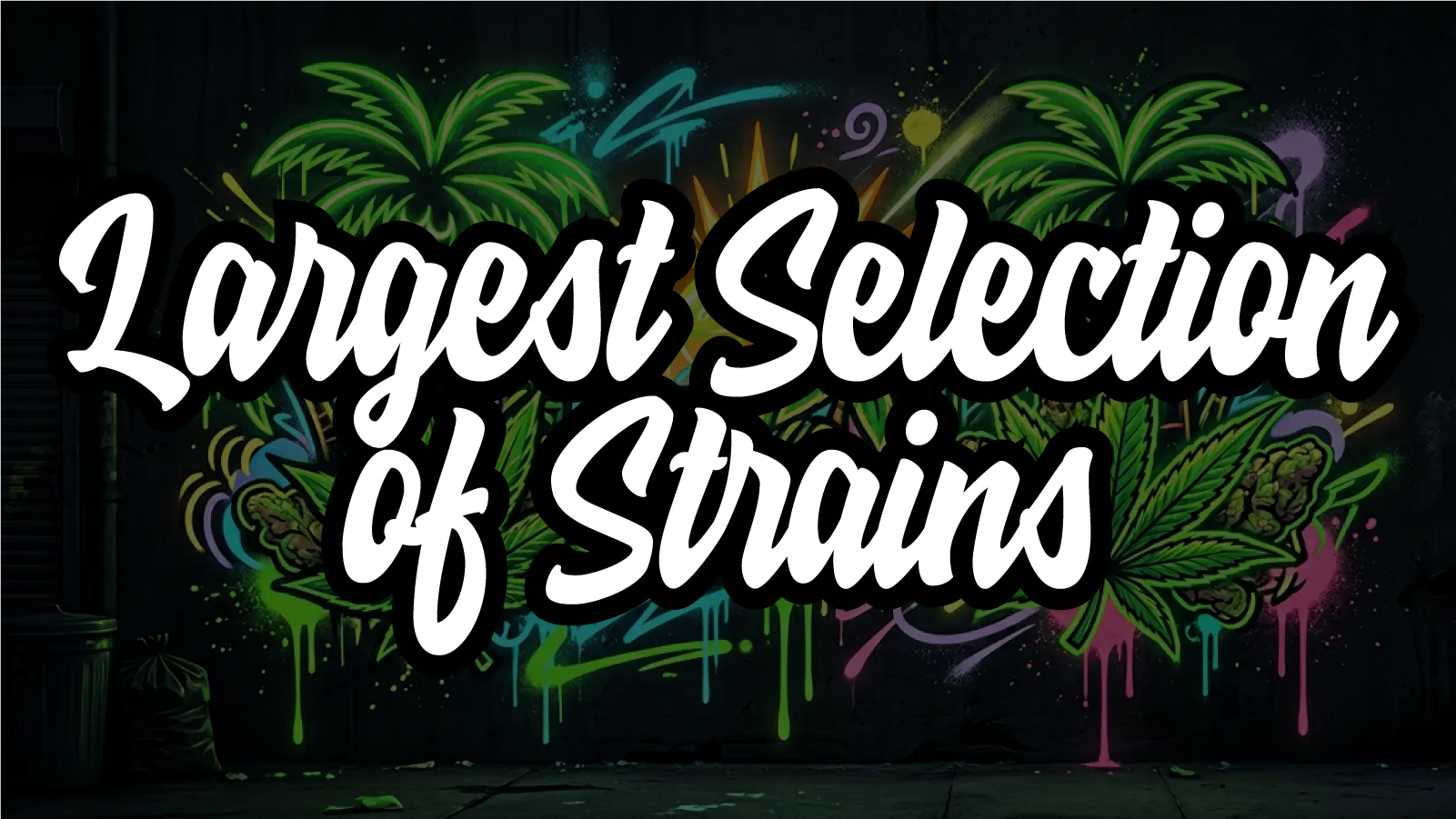 The Chronic Boutique - Trinidad listing banner