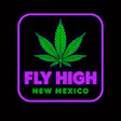 Fly High NM