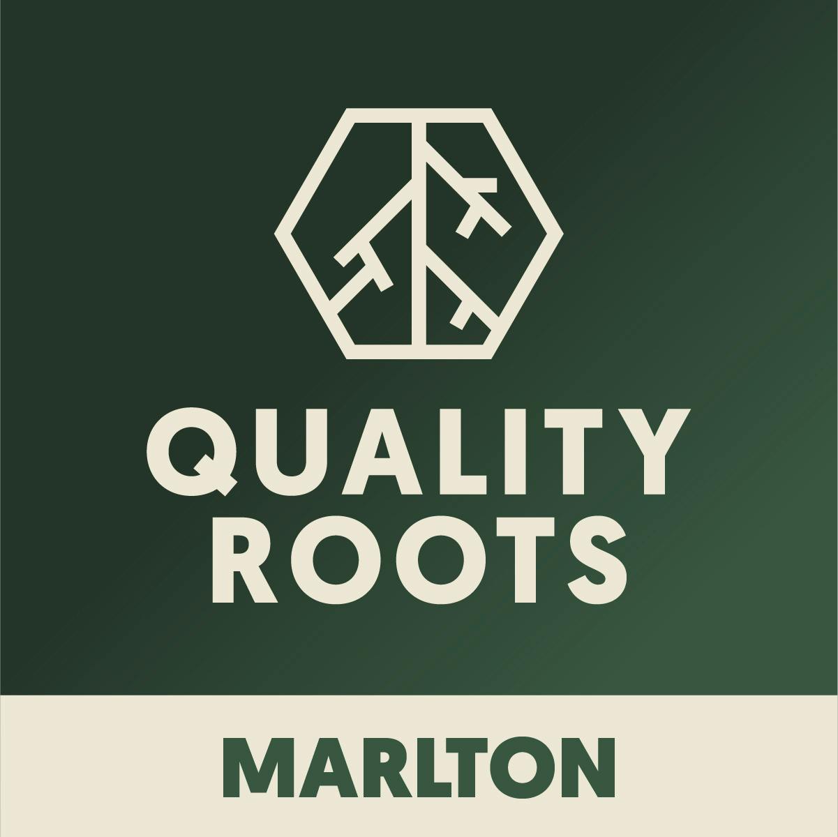 Quality Roots - Marlton