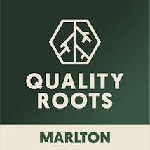 Quality Roots - Marlton