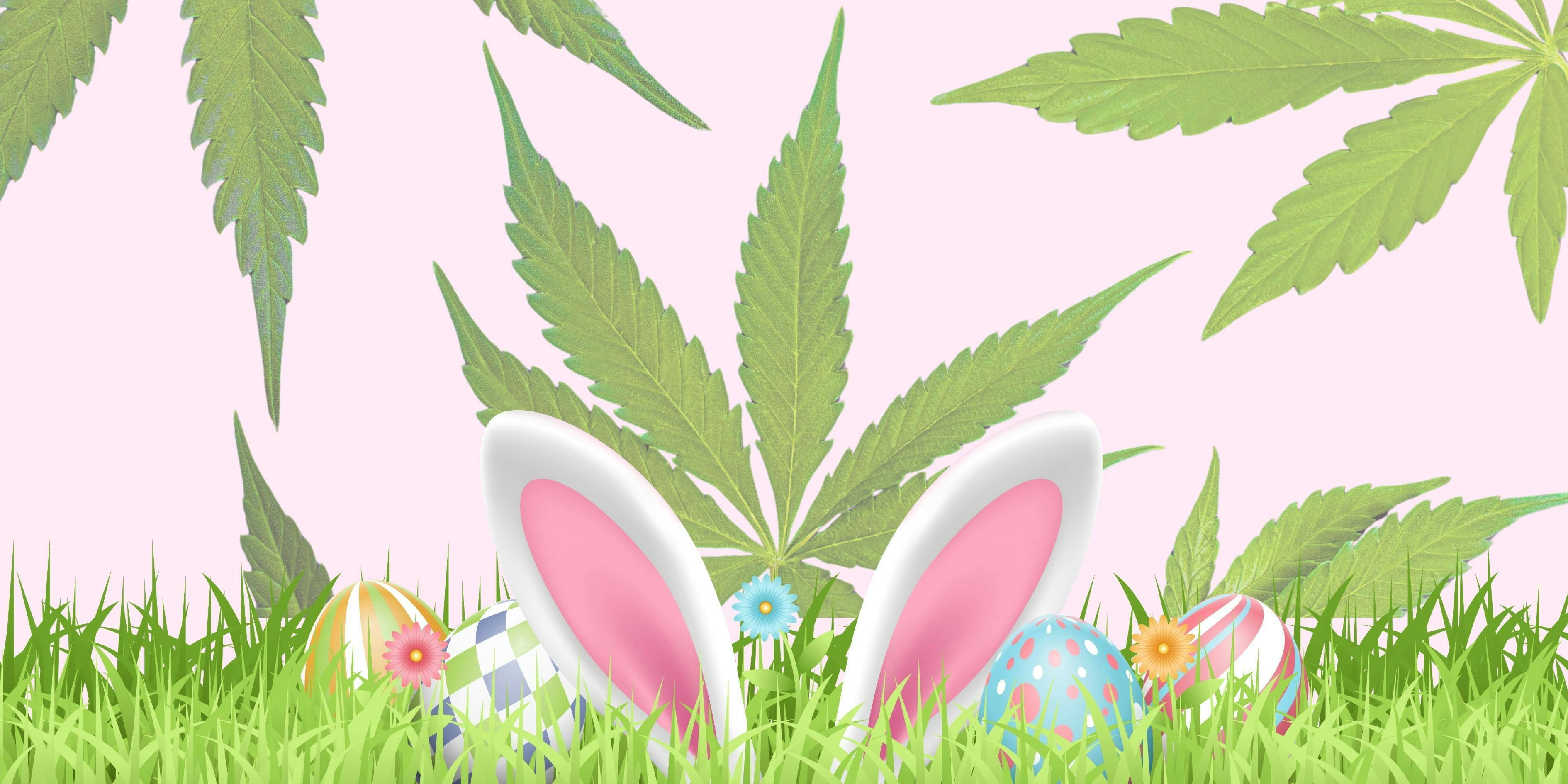 Earth Gift Cannabis - Trujillo Alto listing banner