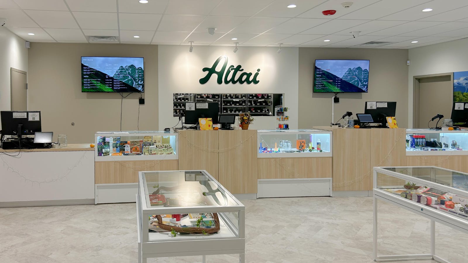 Altai Alternative Care listing banner