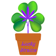 Lucky Strains Cannabis Dispensary