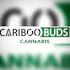 Cariboo Buds Cannabis