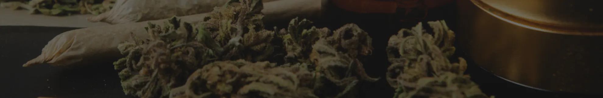 Bean Cannabis - Kamloops listing banner