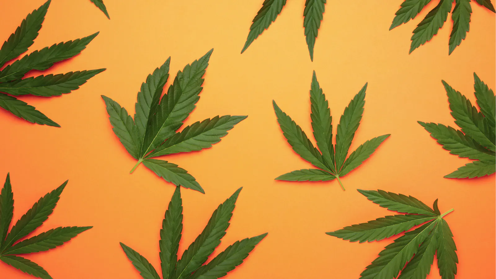 Peace By The Gram listing banner