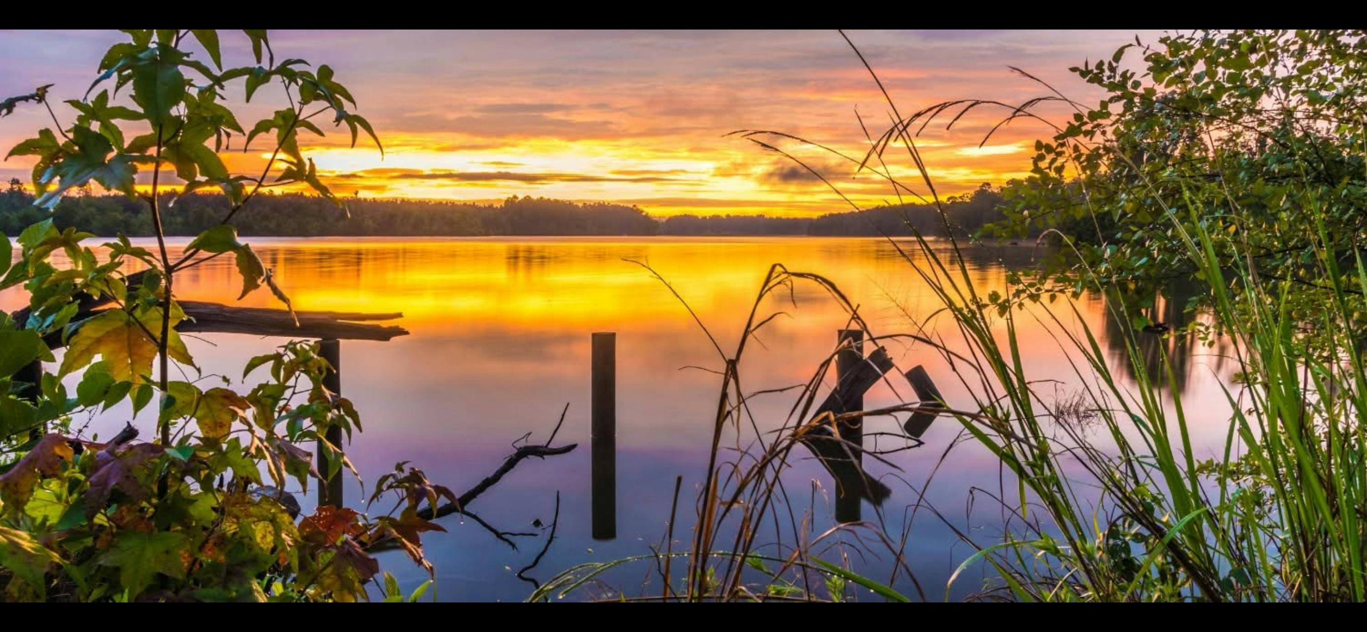 Hill Country Cannabis listing banner