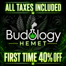 Budology - Hemet