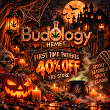 Budology - Hemet