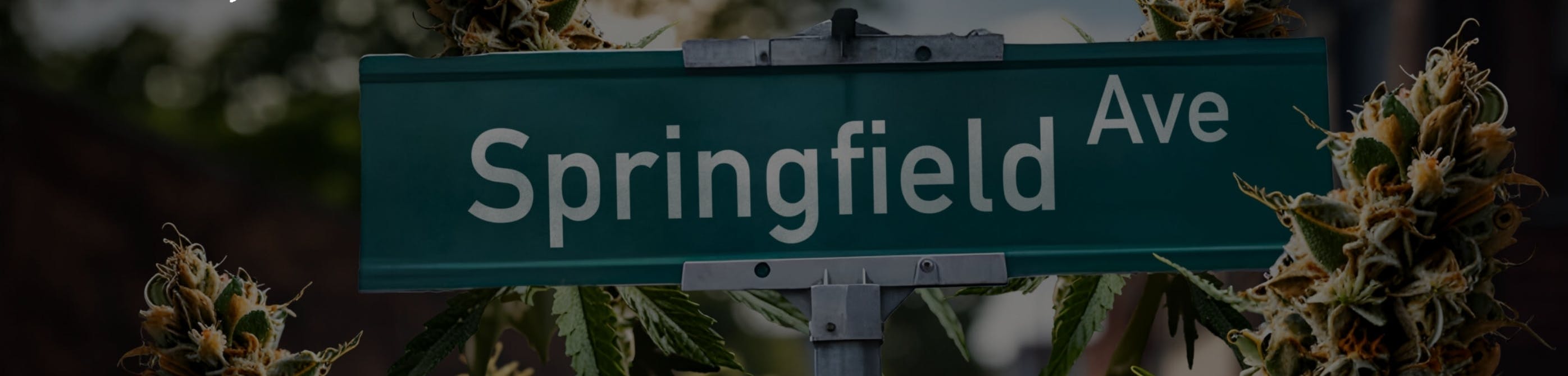 Springfield Ave Dispensary listing banner