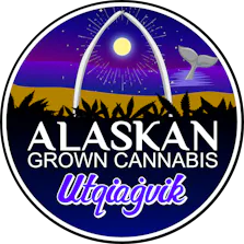 Alaskan Grown Cannabis - Barrow