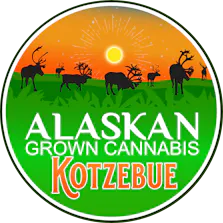 Alaskan Grown Cannabis - Kotzebue