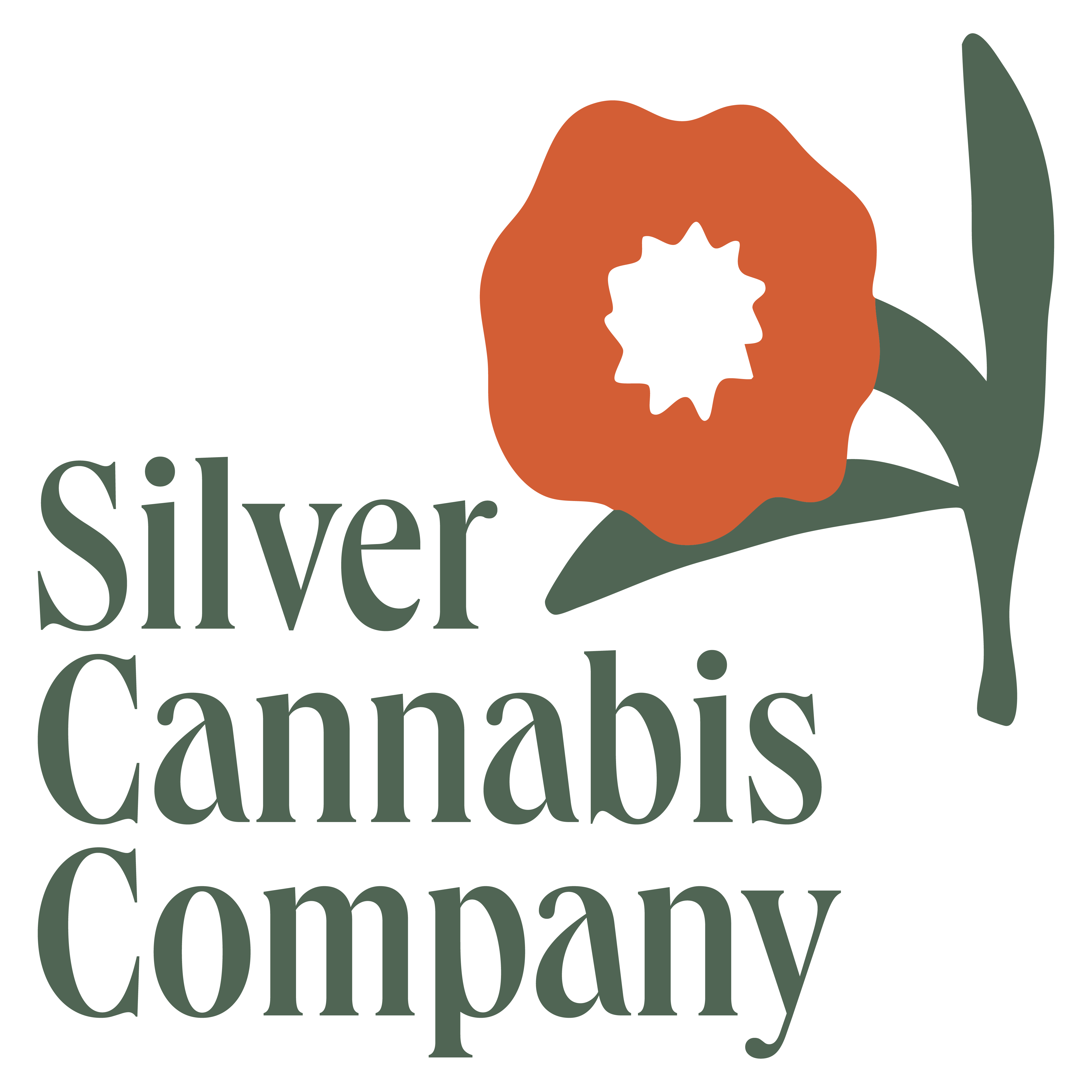 Silver Therapeutics - Parsonsfield