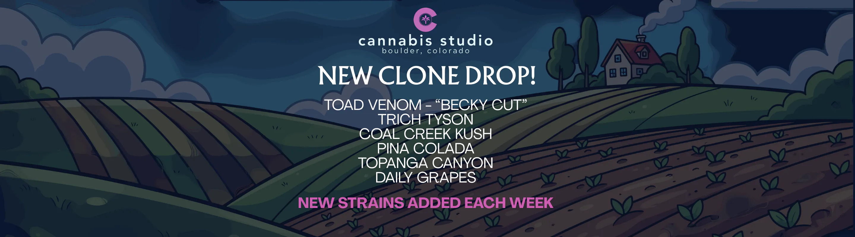 Cannabis Studio listing banner