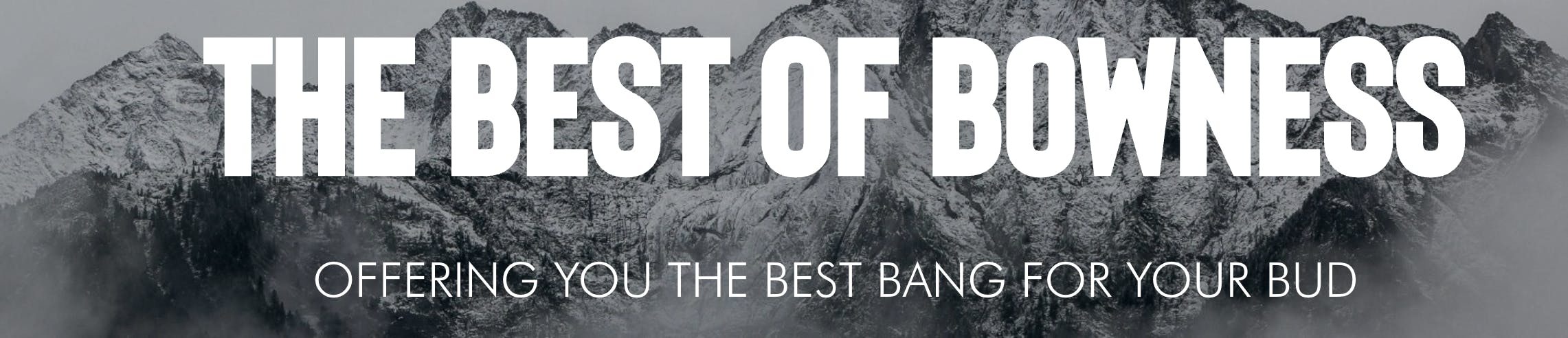 Bud Life Cannabis listing banner